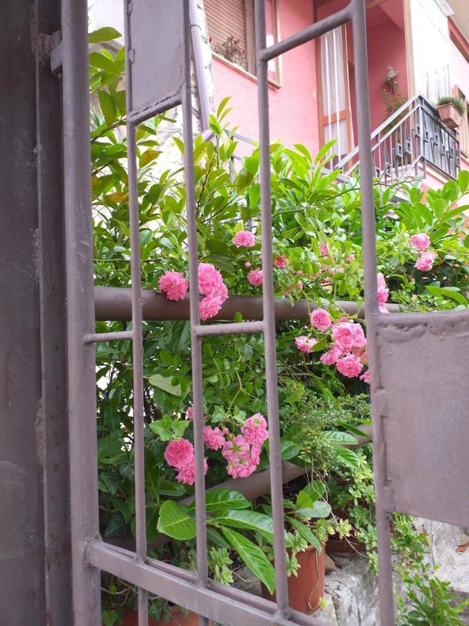 Bed & Breakfast La Rosa Rossa Cagli Exterior foto